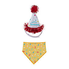 Life of the Party? Reptile Birthday Hat & Bandana - Reptile Costume Accessory - 2 ct