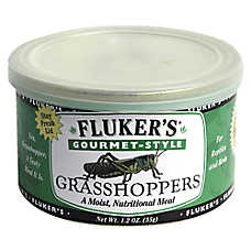 Fluker's? Gourmet Style Grasshoppers - Reptile Food Treat - 1.2 oz
