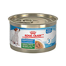 Royal Canin Small Breed Thin Slices in Gravy Puppy Dog Wet Food - 5.1 oz