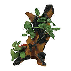 Penn-Plax Driftwood Gardens XL Aquarium Ornament Aquascaping Fish Tank Decor