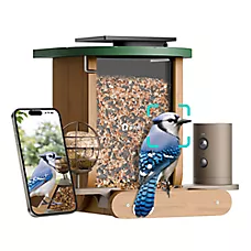 Birdfy Smart Feeder with Lifetime AI, Cedar D Camera Bird Feeder