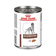 Royal Canin? Veterinary Diet Canine Gastrointestinal Adult Dog Loaf in Sauce Wet Food ? 13.5 oz can