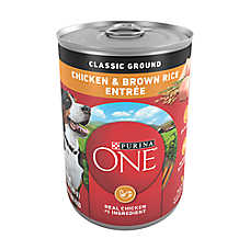 Purina ONE? SmartBlend Everyday Nutrition Adult Dog Wet Food - 14.83 oz., Natural