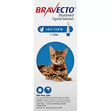 Bravecto Topical Solution for Cats, 6.2 - 13.8 lbs (Blue), 1 Dose, 12 Week Supply