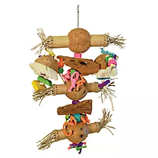 Prevue Pet Products Bodacious Bites Bird Toy for Pet Bird Enrichment