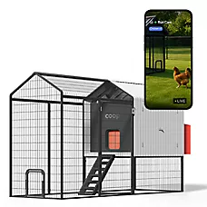 The Smart Coop + Steel Run 4-6 Chickens