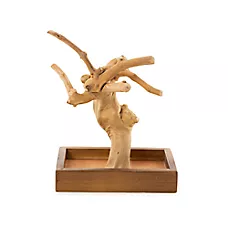Prevue Pet Products Coffeawood Java Tree Minis X-Small Table Top Playstand for Pet Birds