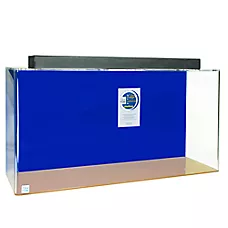 Clear-For-Life 125 Gallon Rectangle Acrylic Aquarium Fish Tank 72x18x20 Fresh & Saltwater