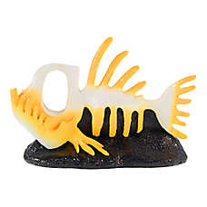 Thrills & Chills? Aglerfish Skeleton Swim Through Aquarium Ornament