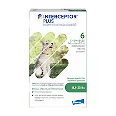 Interceptor Plus Chew for Dogs - 8.1-25 lbs (Green) - 1, 6, or 12 Month Supply