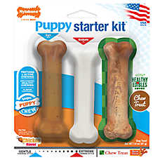 Nylabone? Puppy Starter Kit Chew Toy, 3 Pack