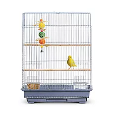All Living Things® Essential Pet Bird Cage for Small Birds