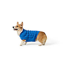 Top Paw? Fall Sweater