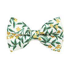 Made By Cleo? Golden Vine Cat Bow Tie