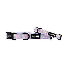 Sassy Woof Fleur De Sass Dog Collar