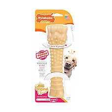 Nylabone DuraChew Bone Chew Dog Toy
