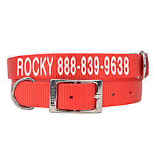 Coastal Pet Products Personalized Dog Collar