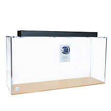 Clear-For-Life 125 Gallon Rectangle Acrylic Aquarium Fish Tank 72x18x20 Fresh & Saltwater
