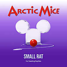 Arctic Mice Frozen Small Rats - Snake Food - 1-3 ct