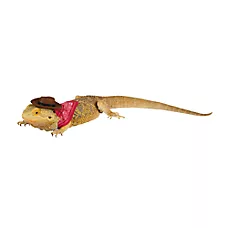 Thrills & Chills Reptile Cosutme - Cowboy